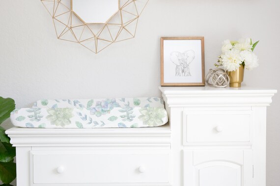 succulent baby nursery