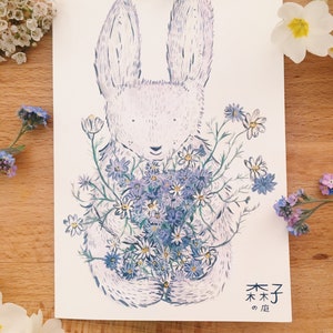 Kaninchen & Kamillenblüten Öko-Pflanzenkarte