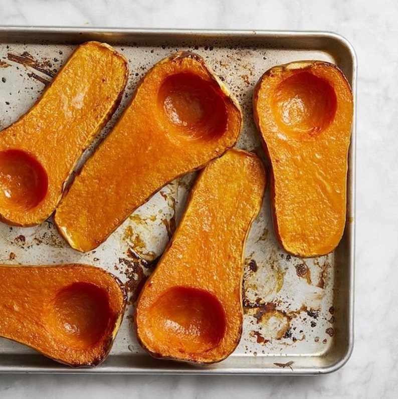 Waltham Heirloom Winter Butternut Squash 25 50 Seeds Organic Etsy