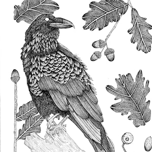 The Raven 8x10 Art Print