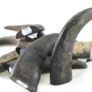 Könnte beinhalten: Eine Gruppe von sechs dunkelbraunen Tierhörnern. Die Hörner sind gebogen und haben eine raue Textur. Die Hörner sind zu einem Haufen gestapelt, wobei einige der Spitzen nach oben zeigen.