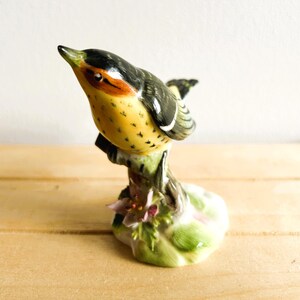 Figurka ptaka Royal Adderley Floral Cape May Warbler w stylu vintage, wyprodukowana w Anglii