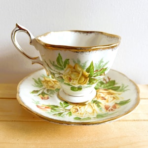 Royal Albert Tea Rose Vintage Teacup and Saucer Set, Made in England