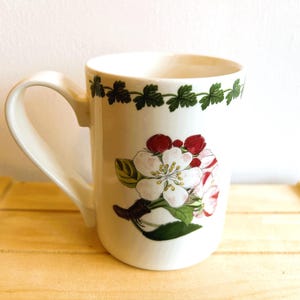 Portmeirion Botanic Garden and Pomona Dishware, Designed by Susan Williams Ellis, Pieces Being Sold Separately