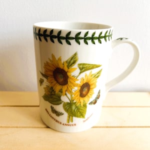Portmeirion Botanic Garden und Pomona Dishware, entworfen von Susan Williams Ellis, Stücke werden separat verkauft