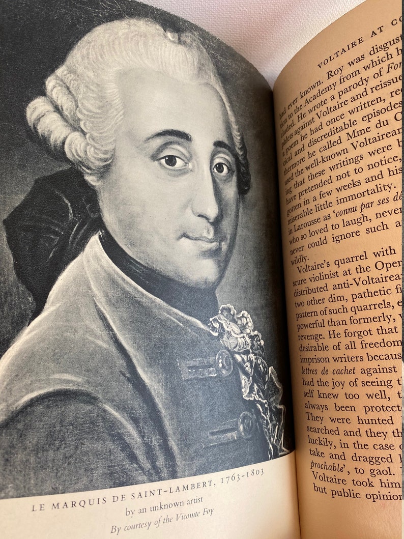 Voltaire main ideas image