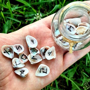 May include: A hand holding a glass jar filled with seashells, each with a different rune symbol written on it.  There are also several seashells with runes on them scattered on the hand.
