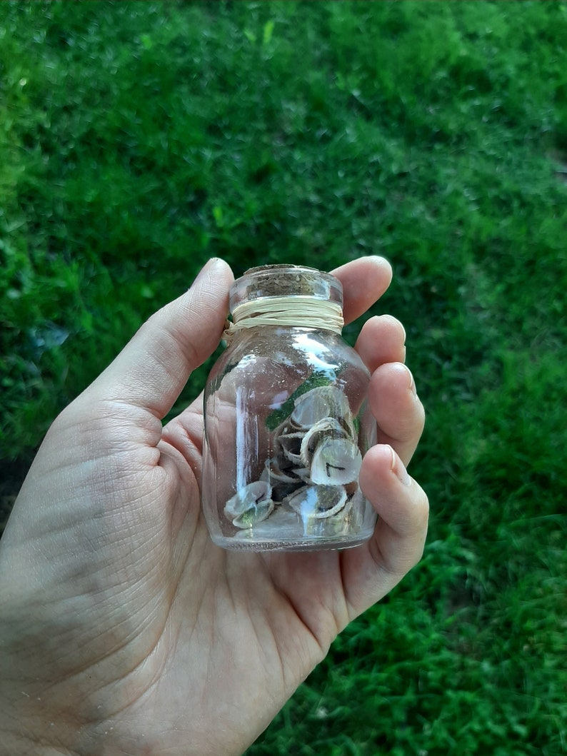 Iridescent Shell Runes / Runes in a Jar / Shell Runes / Elder Futhark ...