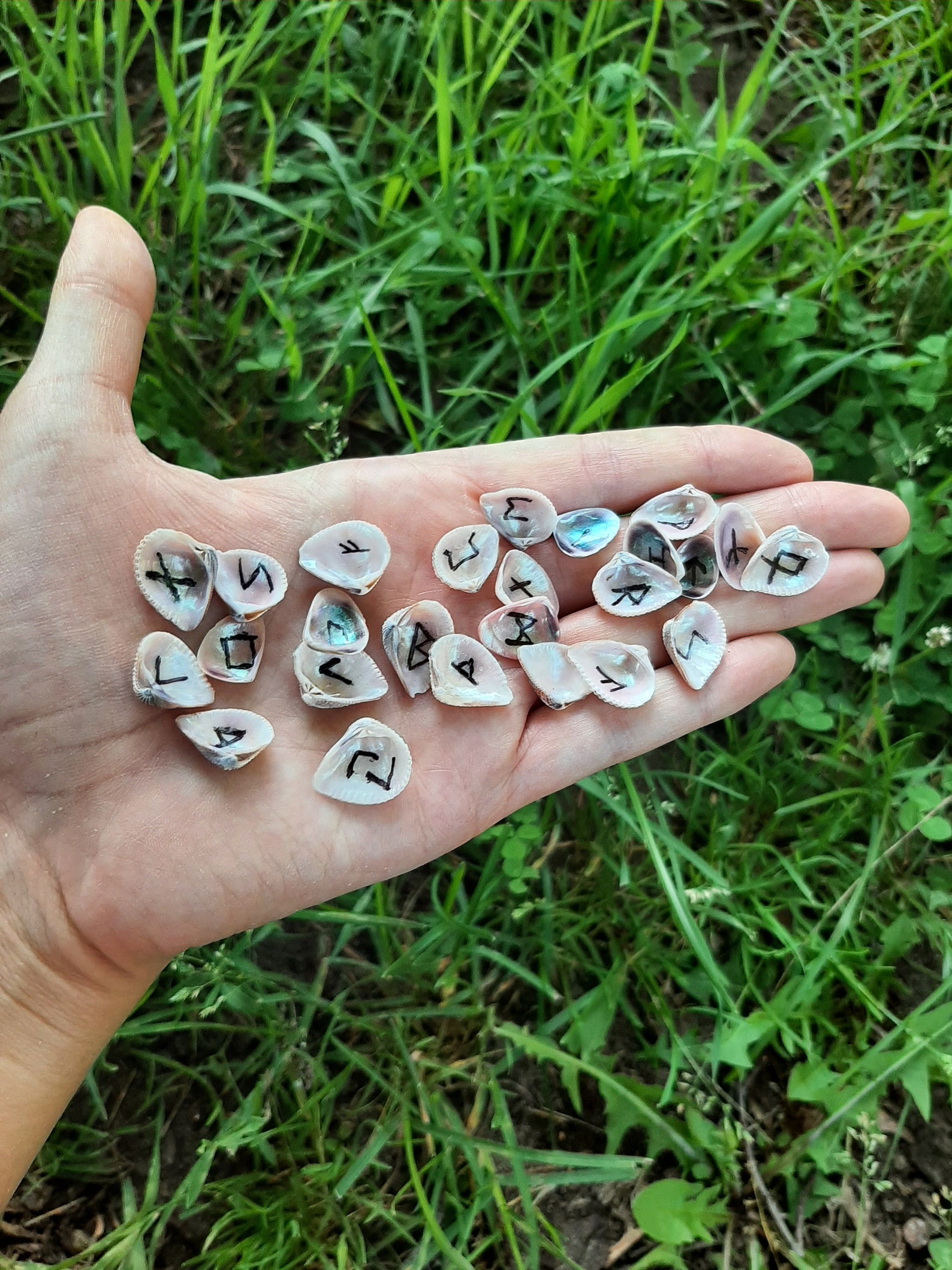 Iridescent Shell Runes / Runes in a Jar / Shell Runes / Elder Futhark ...