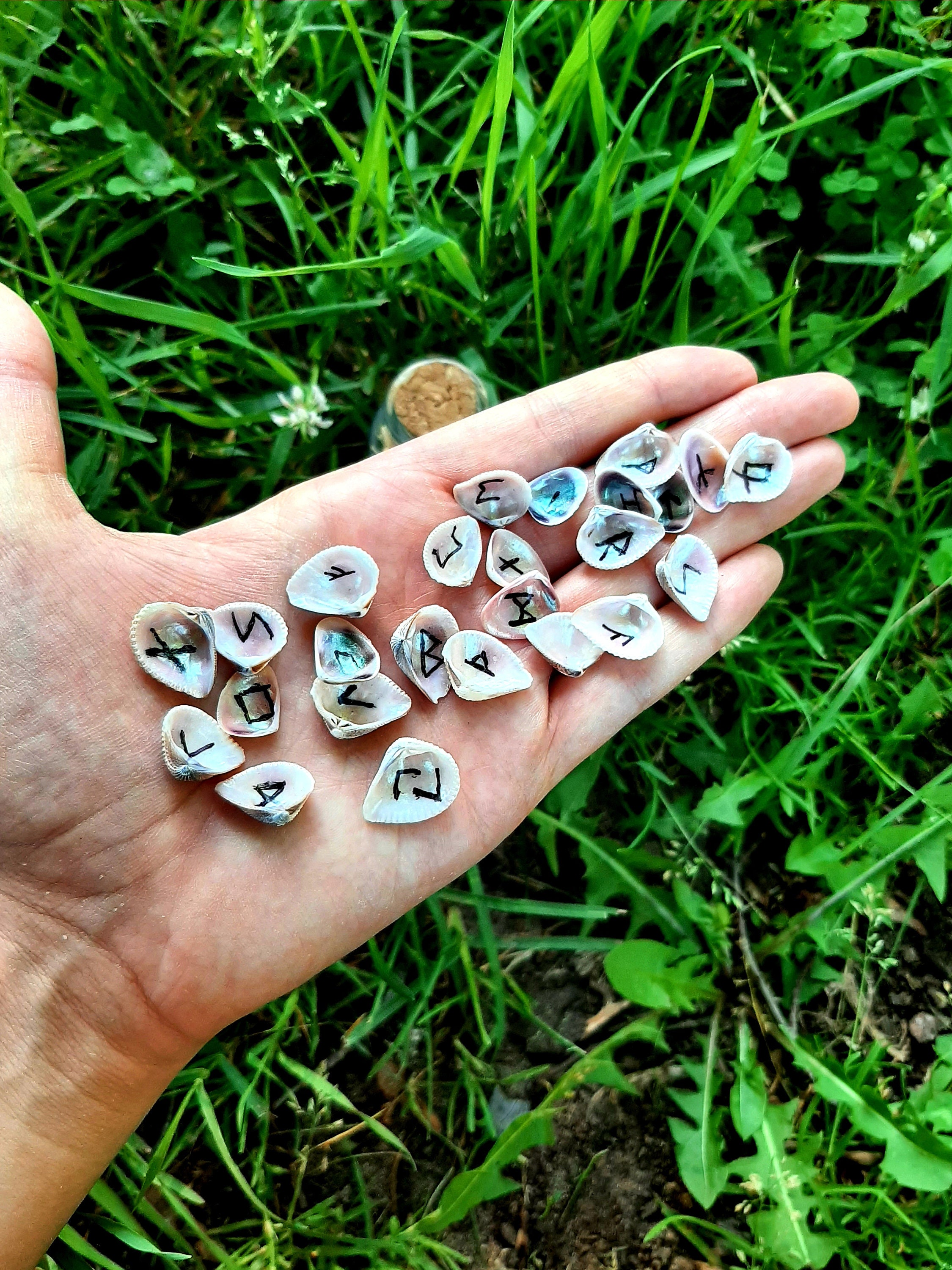 Shell Runes Iridescent Shell Runes / Runes in a Jar / Shell Runes / Elder Futhark ...