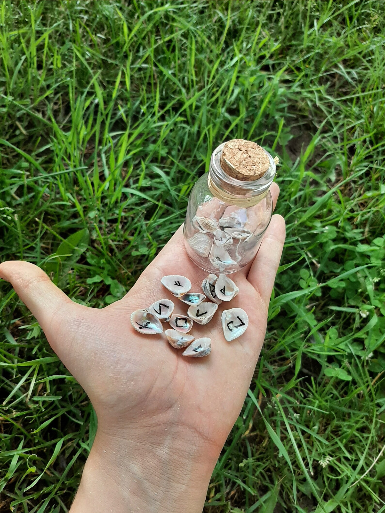 Iridescent Shell Runes / Runes in a Jar / Shell Runes / Elder Futhark ...