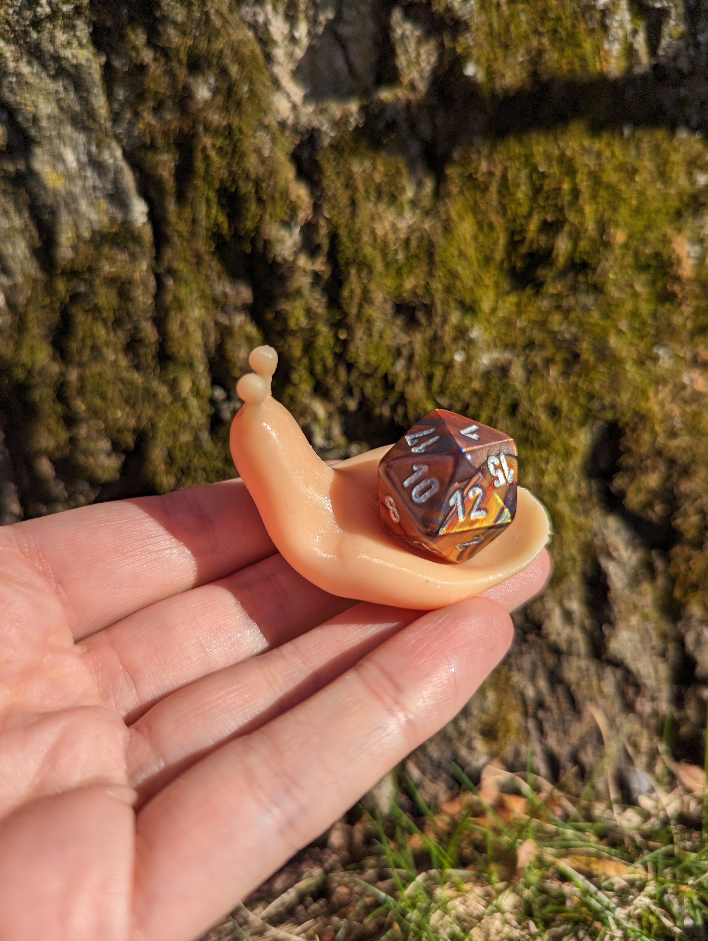 Snail Dice Guardian TTRPG Dice Nerd Gifts GM Gifts Game Master Gift Tabletop Ac - Picture 11 of 12