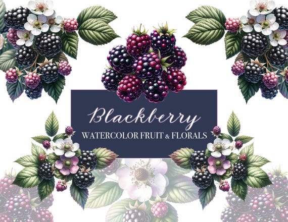Blackberry Watercolor Fruit and Florals Clipart, PNGs, 300DPI, Ready to place in your DIY Paper Projects