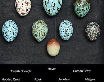 Colección de réplicas de huevos de pájaro