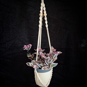 Op de afbeelding: Een crème macramé plantenbak met een houten ring en kralen, met een grijze pot met een plant met roze en groene bladeren. De hanger heeft een kwast aan de onderkant. De achtergrond is zwart.