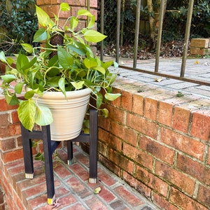 Plant Stand