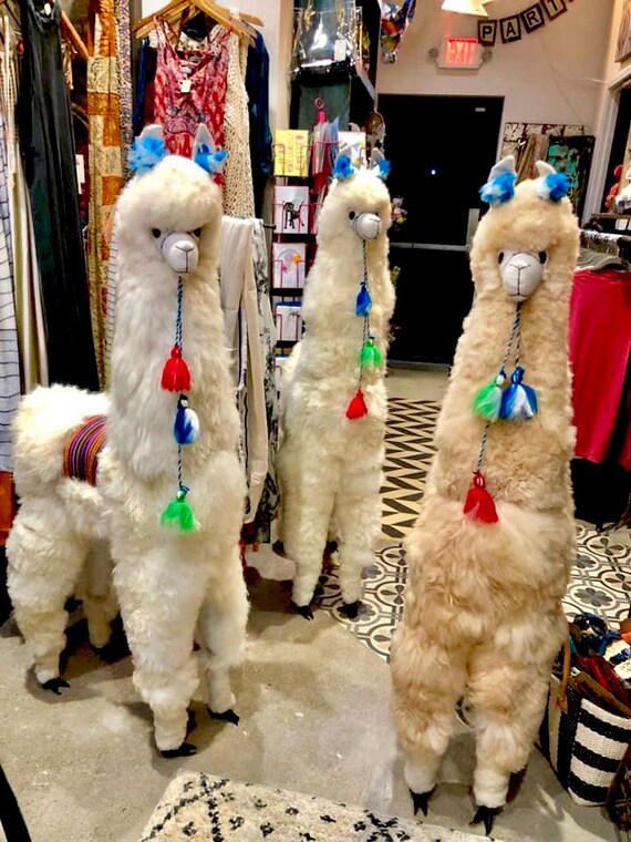 big stuffed alpaca