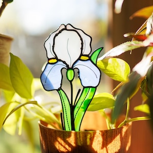 Glasmalerei-Iris-Blume, personalisiertes Geburtstagsgeschenk für Schwester, Februar-Geburtsblumen-kundenspezifische Familie, Iris-Pflanzeneinsatz, bestes Geschenk für sie