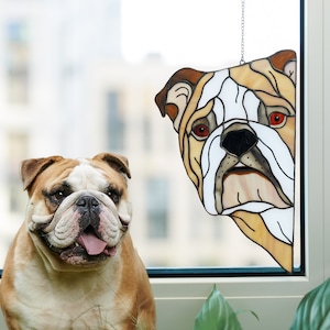 English Bulldog Stained Glass Suncatcher, Personalized Dog Lovers Gift for Mothers Day, Peeking Dog Window Hangings, Bulldog Decor for Home image 1
