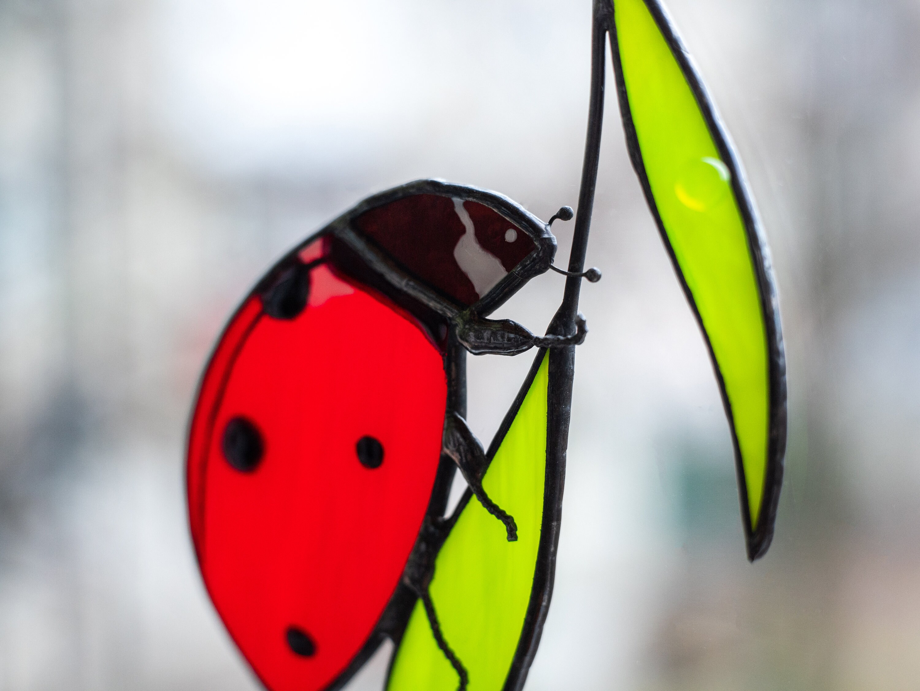 Ladybug suncatcher stained glass window hangings Summer Etsy