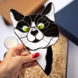 the black white peeking cat with green eyes is a suncatcher in hand against the background of the gift box.