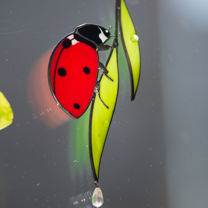 ladybird on two leaves of stained glass against the background of the window. ladybug crawls up. there are glass droplets on the leaves
