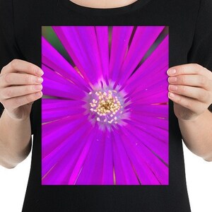 Purple Aster Flower | 8 x 10 Poster Print
