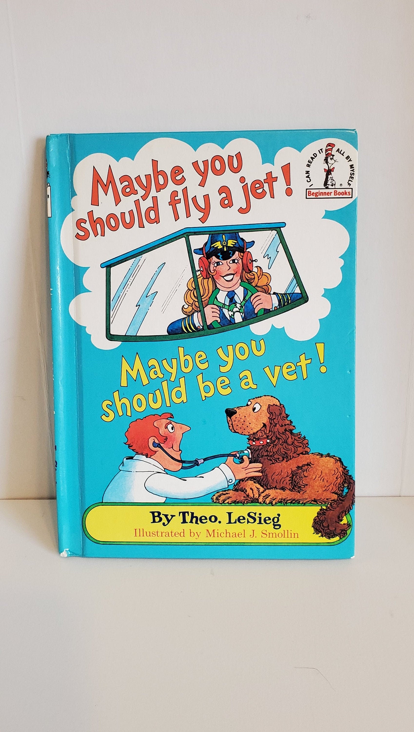 maybe-you-should-fly-a-jet-maybe-you-should-be-a-vet-book-by-theo
