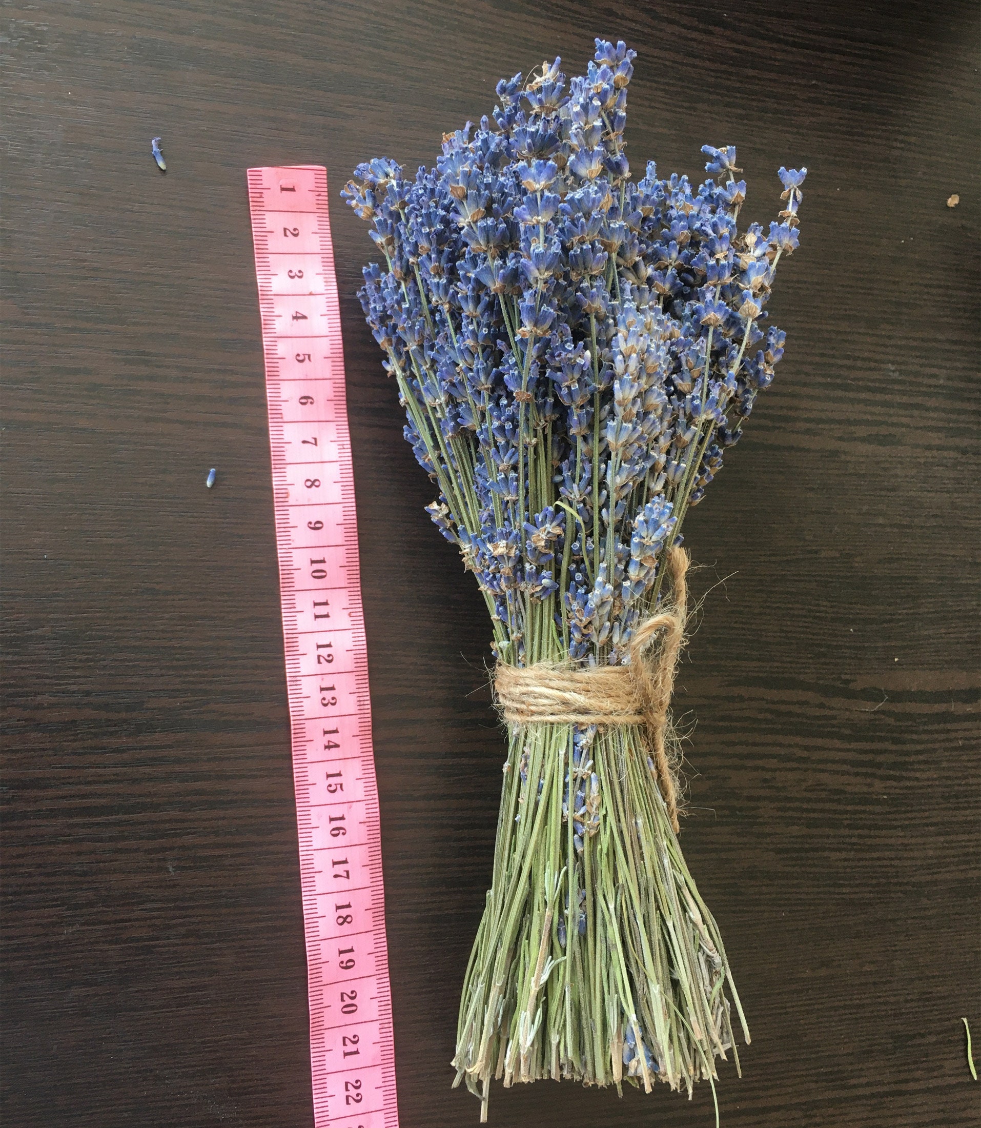 Five dried lavender bouquet Bunch of Lavender Mountain Etsy