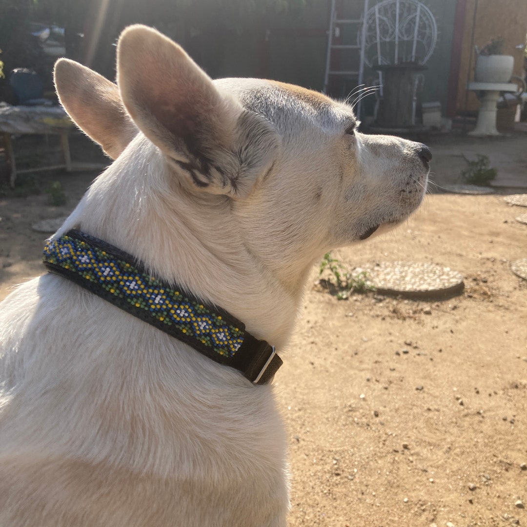 Beaded Dog Collars Etsy