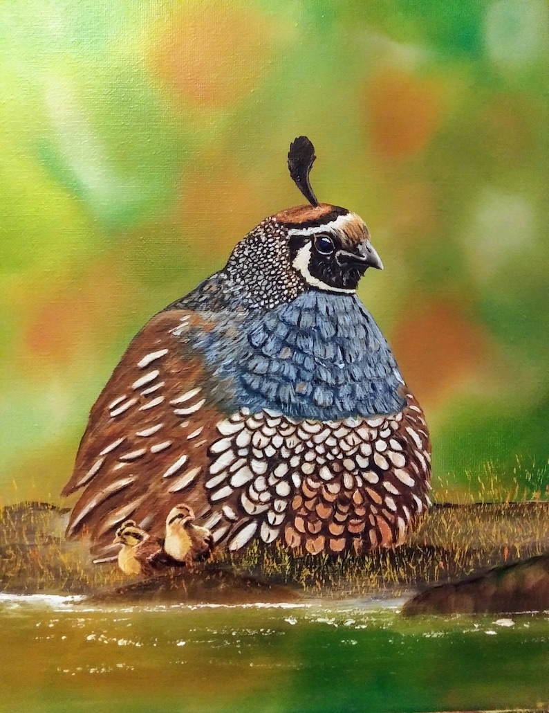 California Quail With Chicks Oil Painting on Canvas 11x14 Etsy