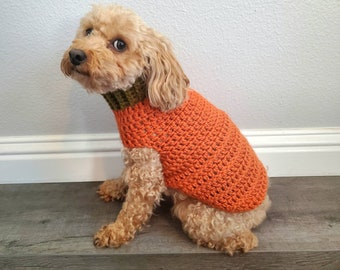 dog pumpkin sweater
