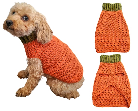 pumpkin dog jumper