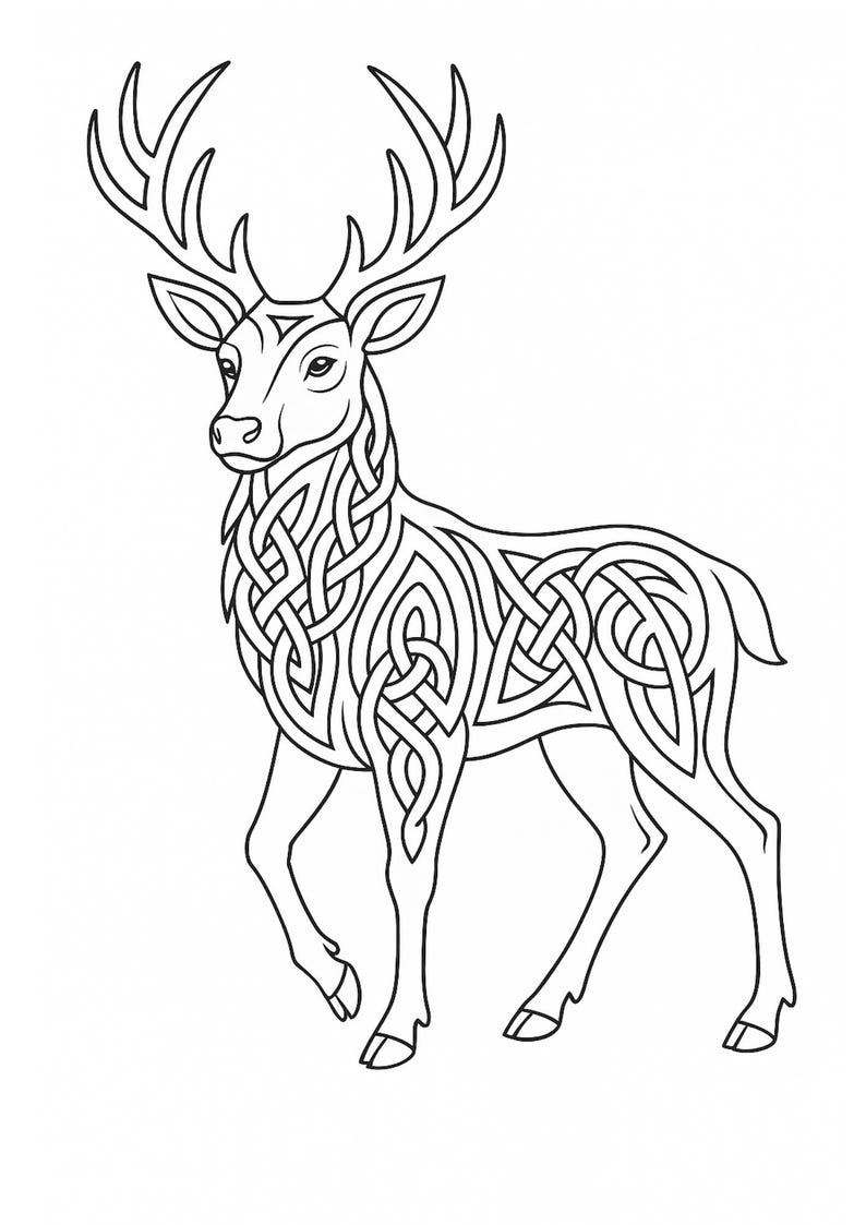 Celtic Stag Colouring Pages Printable | Celtic Knot Stag Coloring Pages ...
