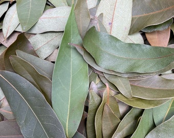 200 ct. Dried California Bay Laurel Leaves