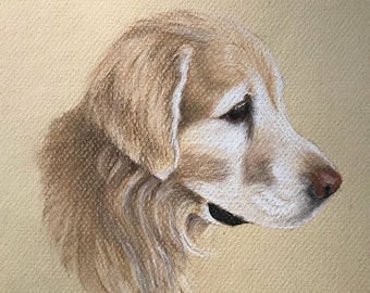 Ritratto personalizzato dell'animale domestico in soft pastel (senza cornice)