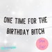 21st Birthday Decorations,  Birthday Bitch Banner, Birthday Banner, Birthday Party Decor, WAP Banner, Birthday Decor, 25th, 30th, 18th, 