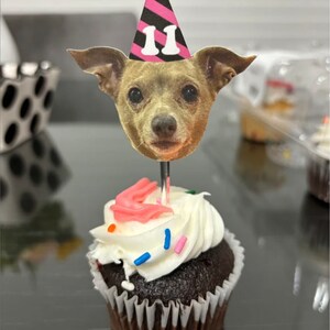 Pet Birthday Decorations, Dog Birthday Face Cupcakes, Custom Birthday Photo Face Toppers, Personalized Birthday Toppers, Any Age, 12 Toppers