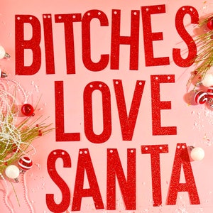 Christmas Decorations, Bitches Love Santa Banner, Funny Christmas Sign, Christmas Party, Funny Christmas Decor, Christmas Twerk, Friendsmas