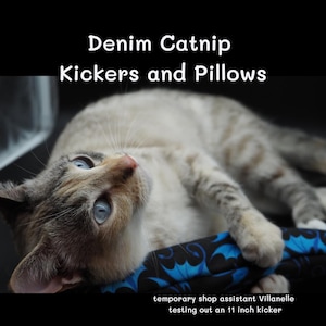 May include: A light-colored cat with blue eyes resting on a blue and black patterned fabric toy. The image includes the text: Denim Catnip Kickers and Pillows, and temporary shop assistant Villanelle testing out an 11 inch kicker.