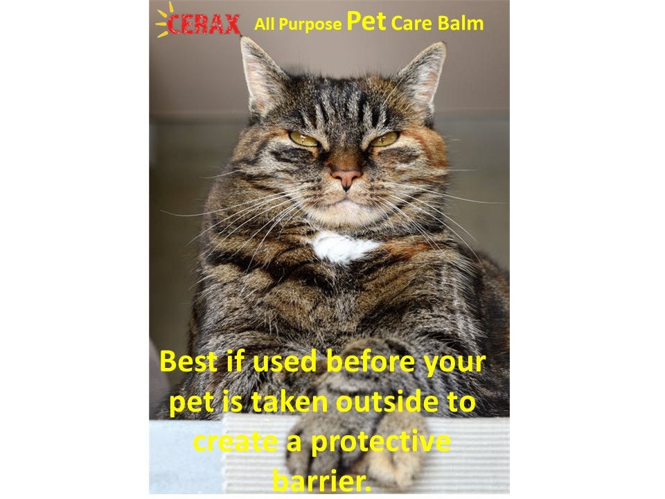 All Purpose Pet Care Balm, Treats, Restores, Protects and Moisturizes