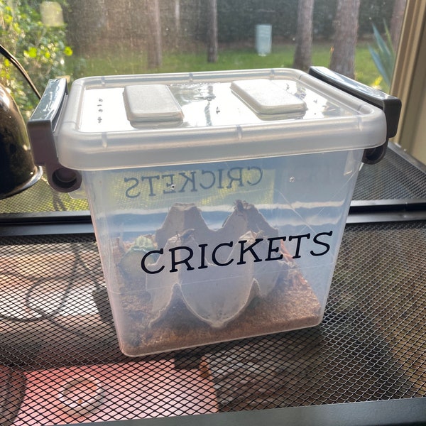 Large Cricket Keeper Etsy