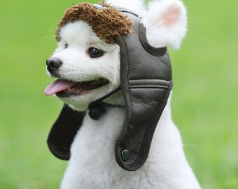 dog bomber hat