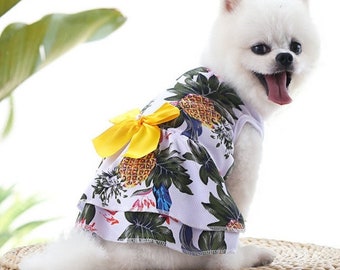 dog beach clothes