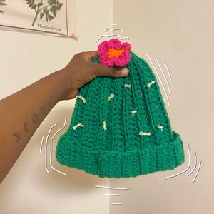 May include: Green crocheted cactus hat with a pink and orange flower on top.