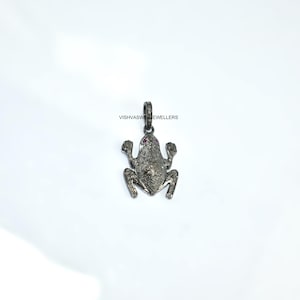 May include: A silver frog pendant with a textured surface and small gemstones. The frog has a red gemstone eye and is suspended from a loop at the top. The text "VISHVASWEJEWELLERS" is printed on the pendant.