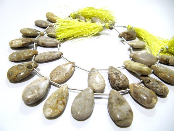 Natural Fossil Coral Pear Shape Plain Smooth Briolette beads 10x20mm To 12x22mm Graduated Jewelry Making Beads Strand 8 Inches Long