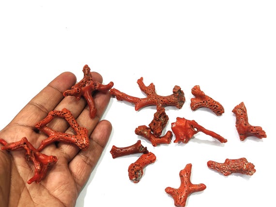 Natural Italian Coral Branch Gemstone Nuggets (2-3 Inches) – Red Free Shape Big & Thick Pieces