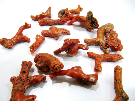 Natural Italian Coral Free Shape Nuggets 2 to 3 inches Long Coral Branch Birth Gemstone Sold per one piece Wholesale Prices