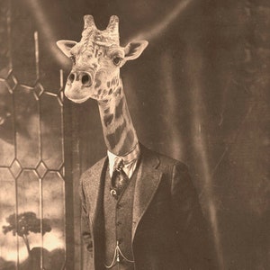 Victorian Giraffe Portrait